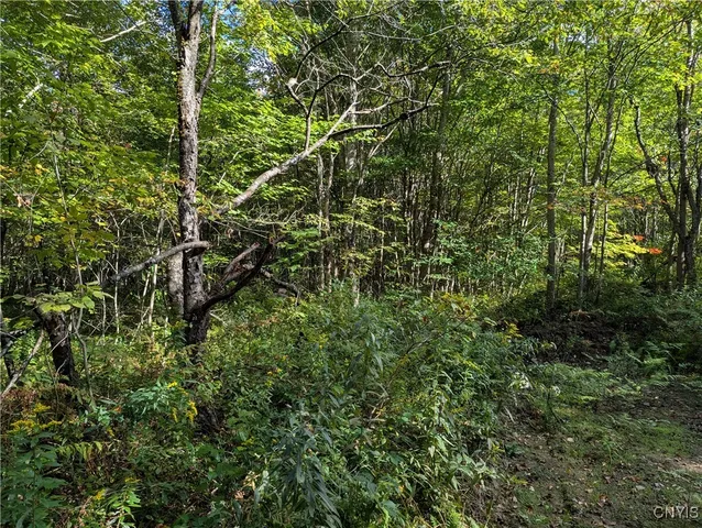 $57,500 | 1991 Kotary Road, Lewis, NY 13325