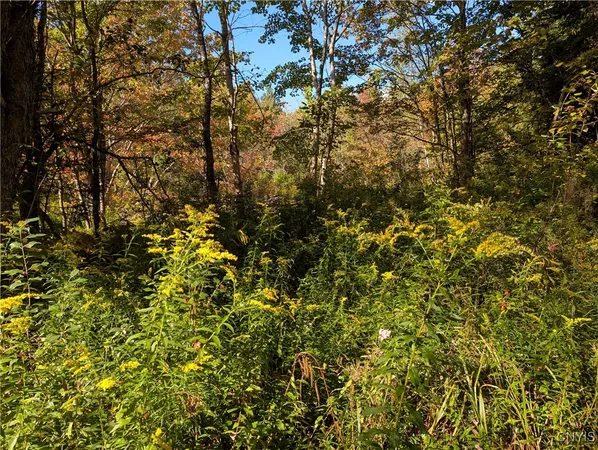 $57,500 | 1991 Kotary Road, Lewis, NY 13325