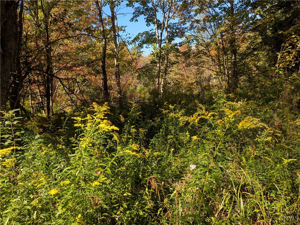 1991 Kotary Road Lewis, NY 13325 - Photo 4 of 17