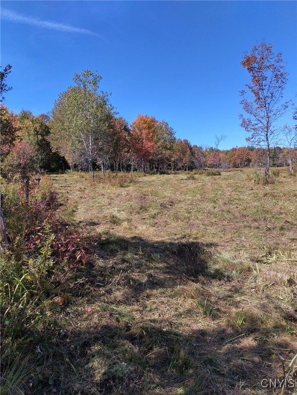 1991 Kotary Road Lewis, NY 13325 - Photo 5 of 17