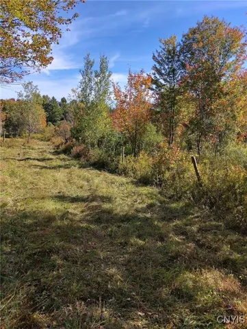 $57,500 | 1991 Kotary Road, Lewis, NY 13325