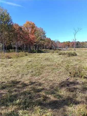 $57,500 | 1991 Kotary Road, Lewis, NY 13325