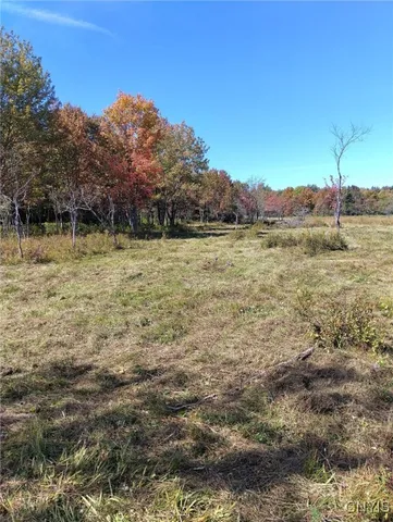 $57,500 | 1991 Kotary Road, Lewis, NY 13325