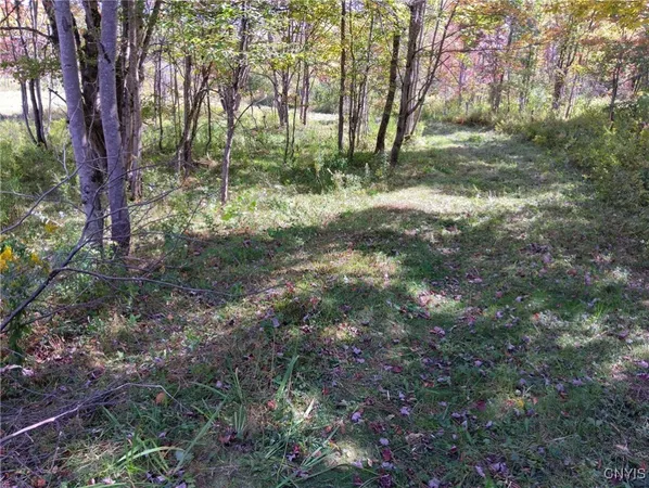 $57,500 | 1991 Kotary Road, Lewis, NY 13325