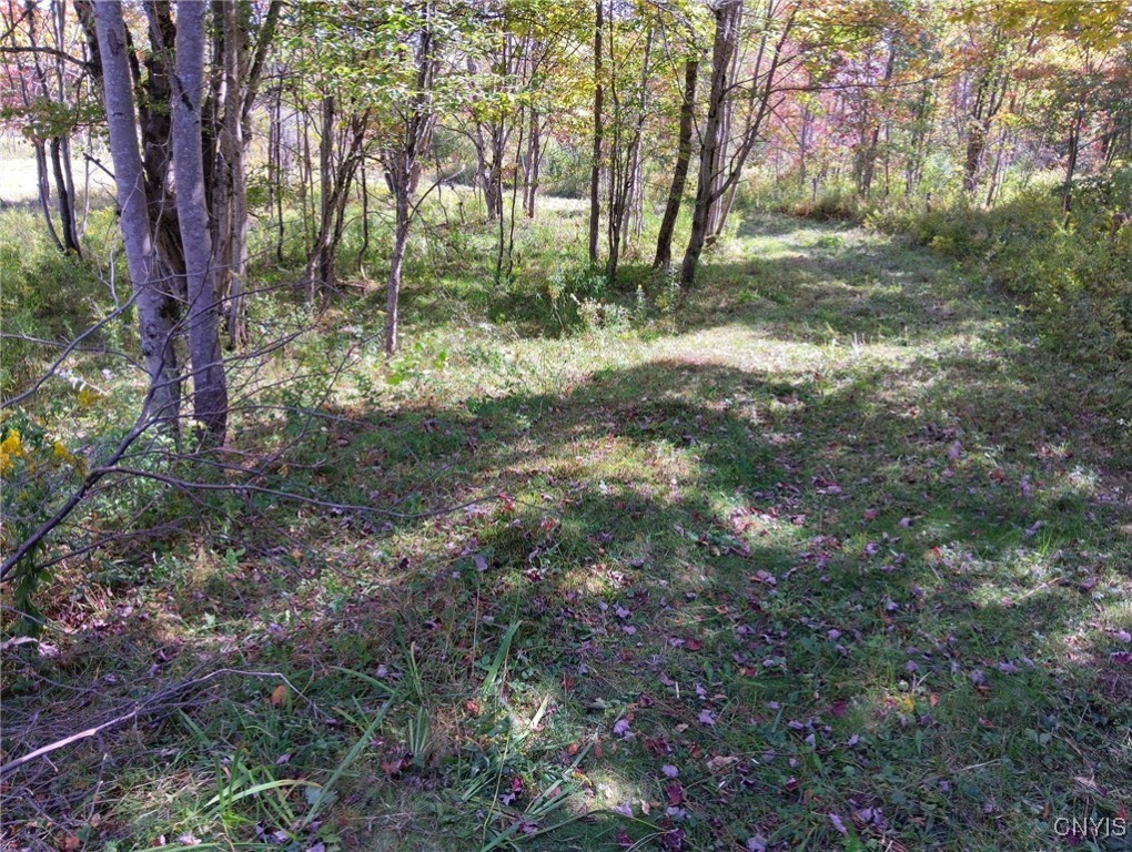 1991 Kotary Road Lewis, NY 13325 - Photo 8 of 17