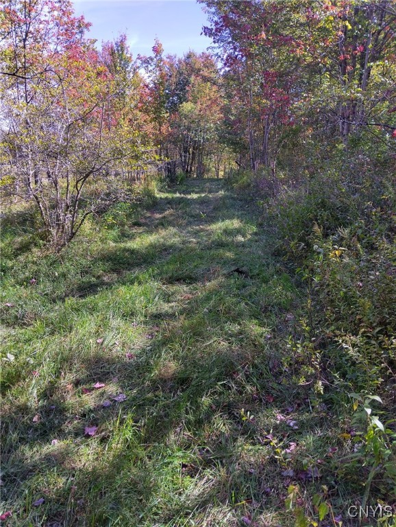 1991 Kotary Road Lewis, NY 13325 - Photo 9 of 17