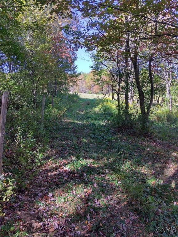 1991 Kotary Road Lewis, NY 13325 - Photo 10 of 17