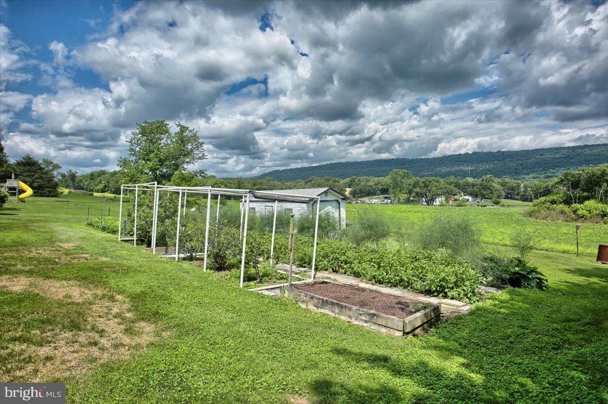 1327 Ridge Road Grantville, PA 17028 - Photo 37 of 42 Gardeners delight with 90 foot established garden