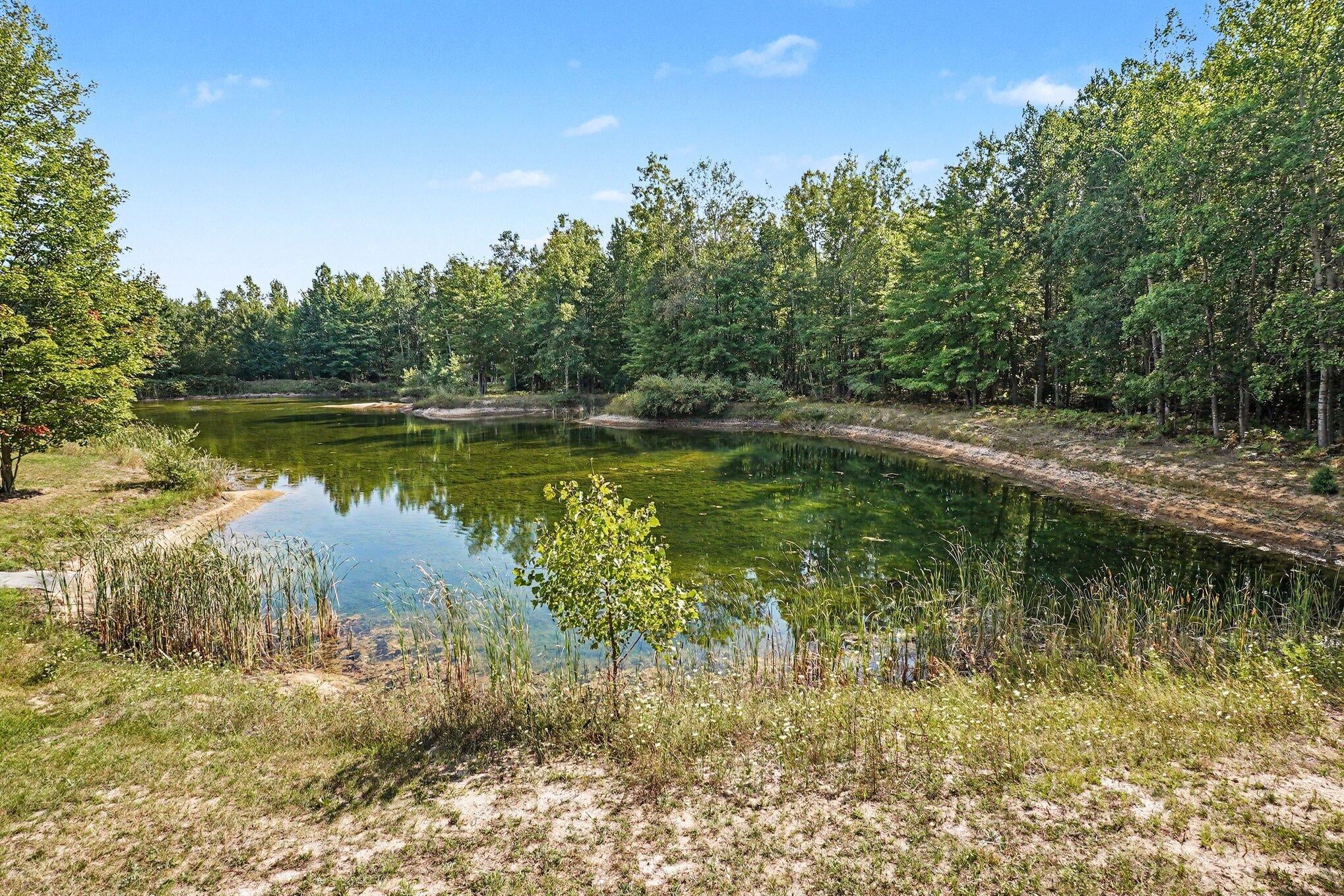 5655 North Alamando Road Coleman, MI 48618 - Photo 27 of 37 Gallery Image 27