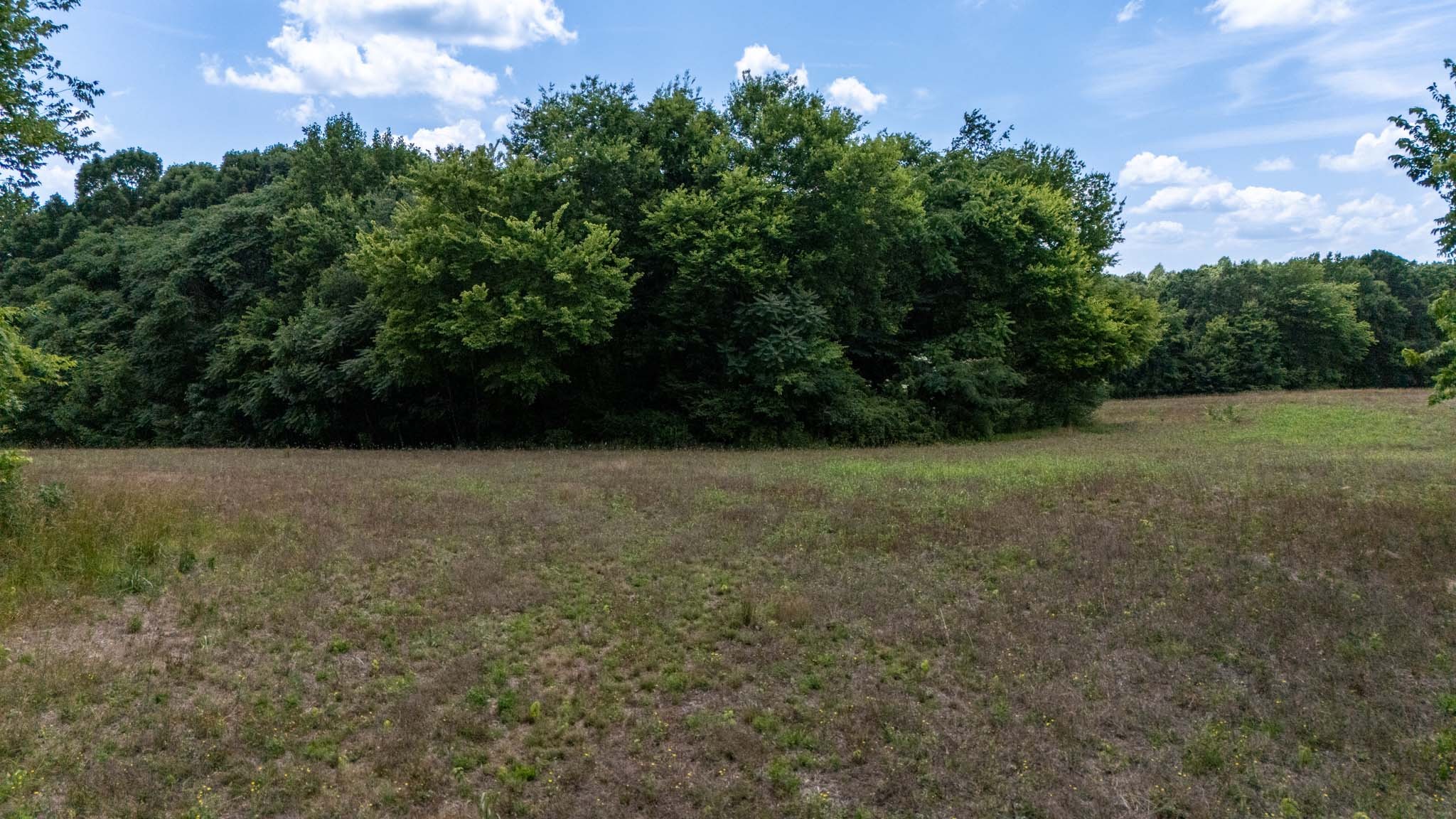 3772 Pea Ridge Road Liberty, TN 37095 - Photo 41 of 52