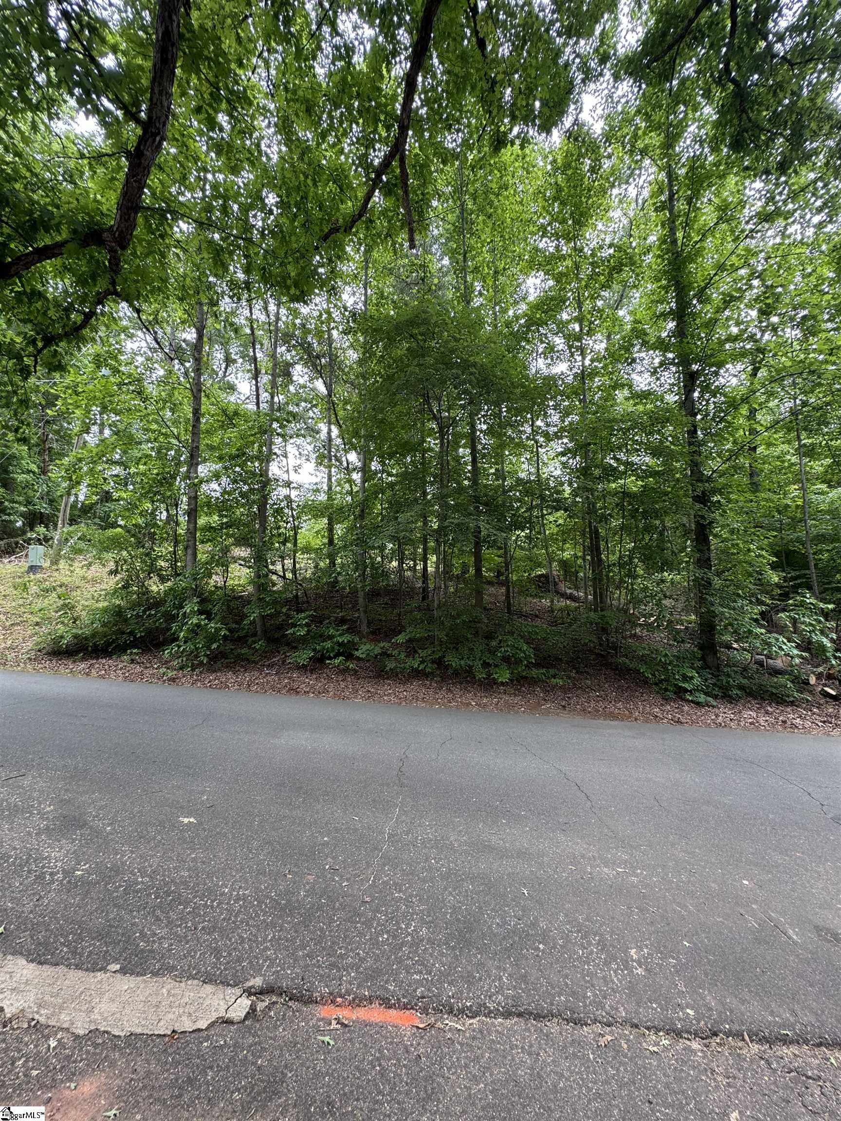 136 St John Zion Road Rutherfordton, NC 28139 - Photo 27 of 30
