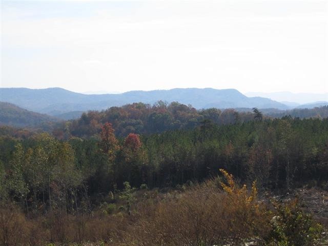 0 Citico Road Vonore, TN 37885 - Photo 9 of 16
