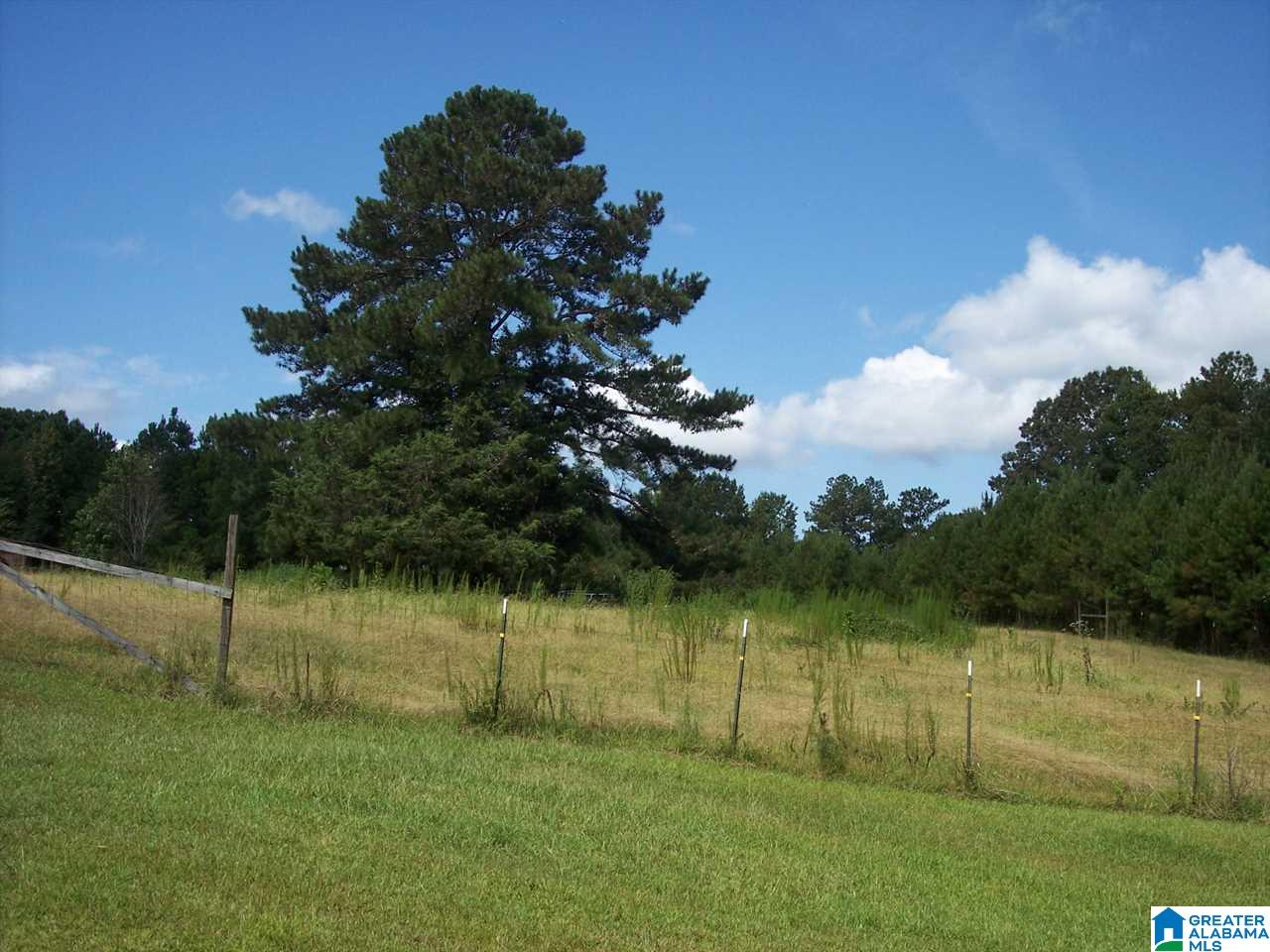 1561 Ross Lake Road Wellington, AL 36279 - Photo 40 of 50