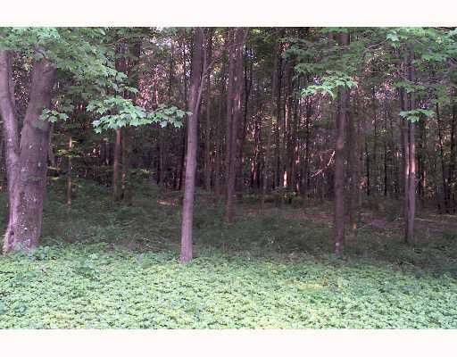 36 A Bullcreek Road Butler, PA 16002 - Photo 1 of 8 Land/Lot.
