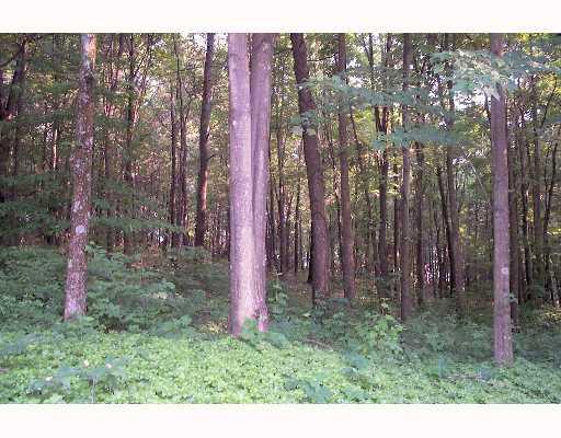 36 A Bullcreek Road Butler, PA 16002 - Photo 2 of 8 Land/Lot.