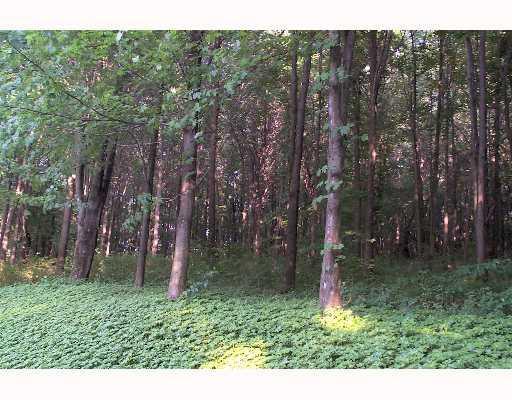 36 A Bullcreek Road Butler, PA 16002 - Photo 3 of 8 Land/Lot.