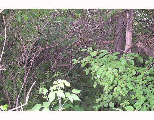 36 A Bullcreek Road Butler, PA 16002 - Photo 6 of 8 Land/Lot.