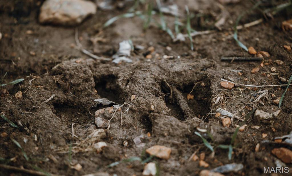 0 Bar Road Pacific, MO 63069 - Photo 34 of 47