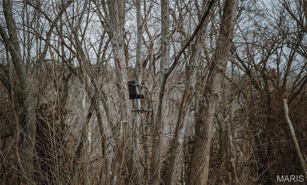 0 Bar Road Pacific, MO 63069 - Photo 35 of 47