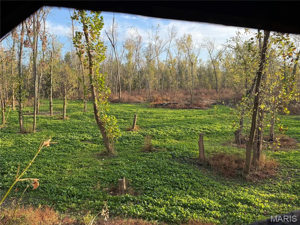 0 Bar Road Pacific, MO 63069 - Photo 37 of 47