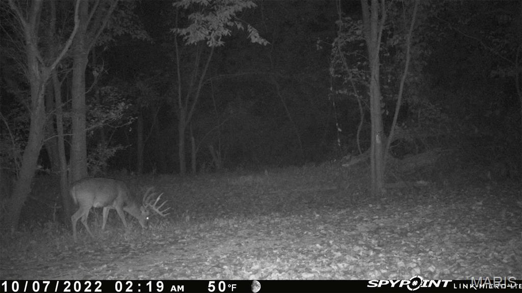 0 Bar Road Pacific, MO 63069 - Photo 39 of 47