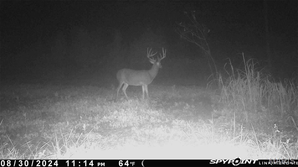 0 Bar Road Pacific, MO 63069 - Photo 42 of 47