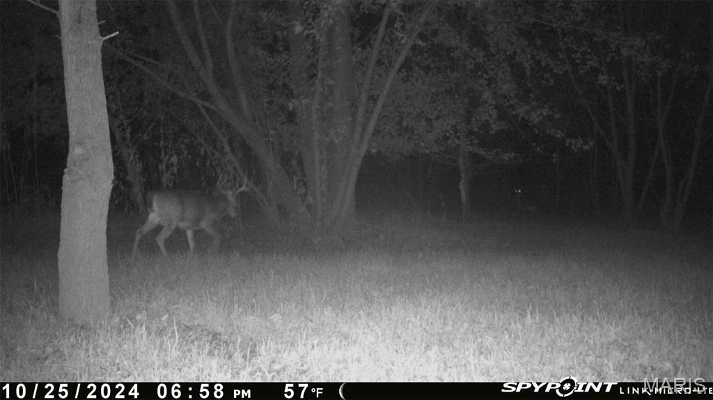 0 Bar Road Pacific, MO 63069 - Photo 44 of 47