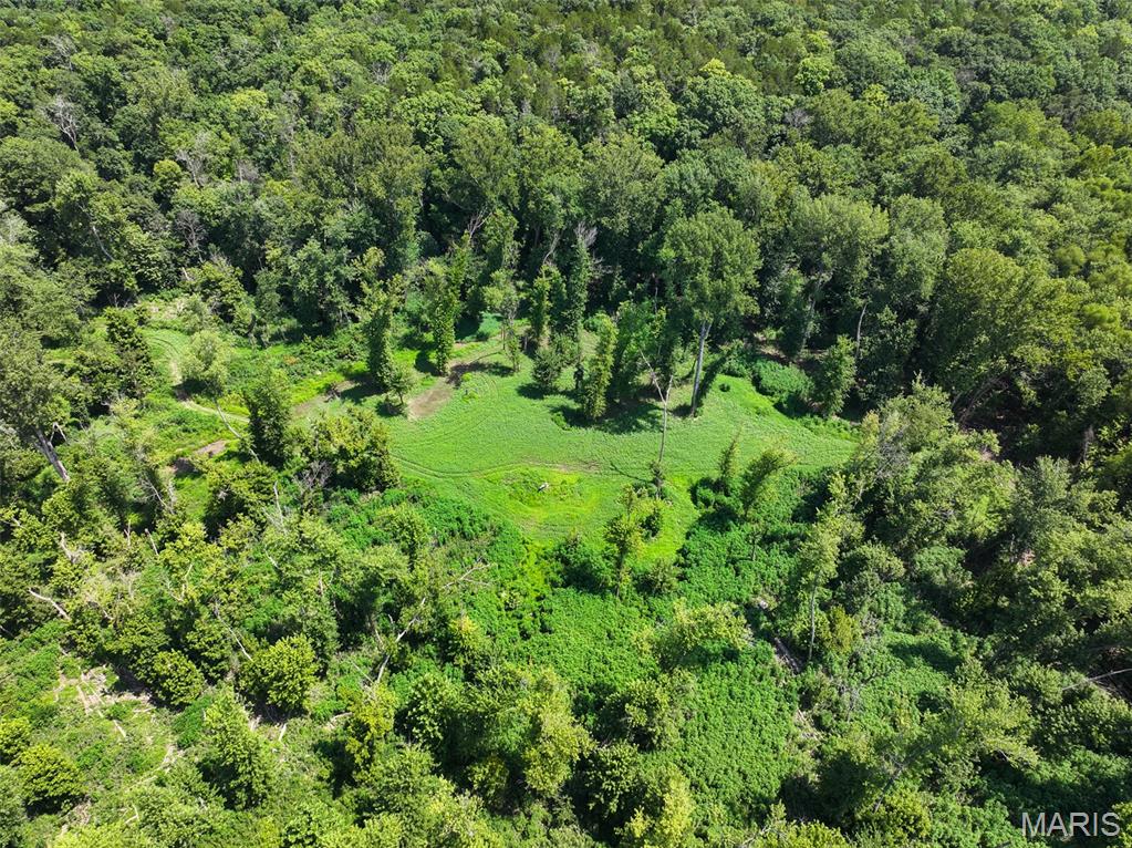 0 Bar Road Pacific, MO 63069 - Photo 8 of 47