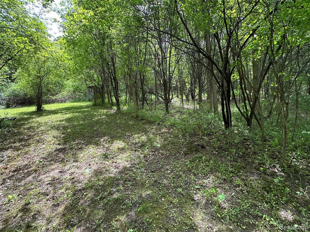 6161 East River Road Flushing, MI 48433 - Photo 36 of 63
