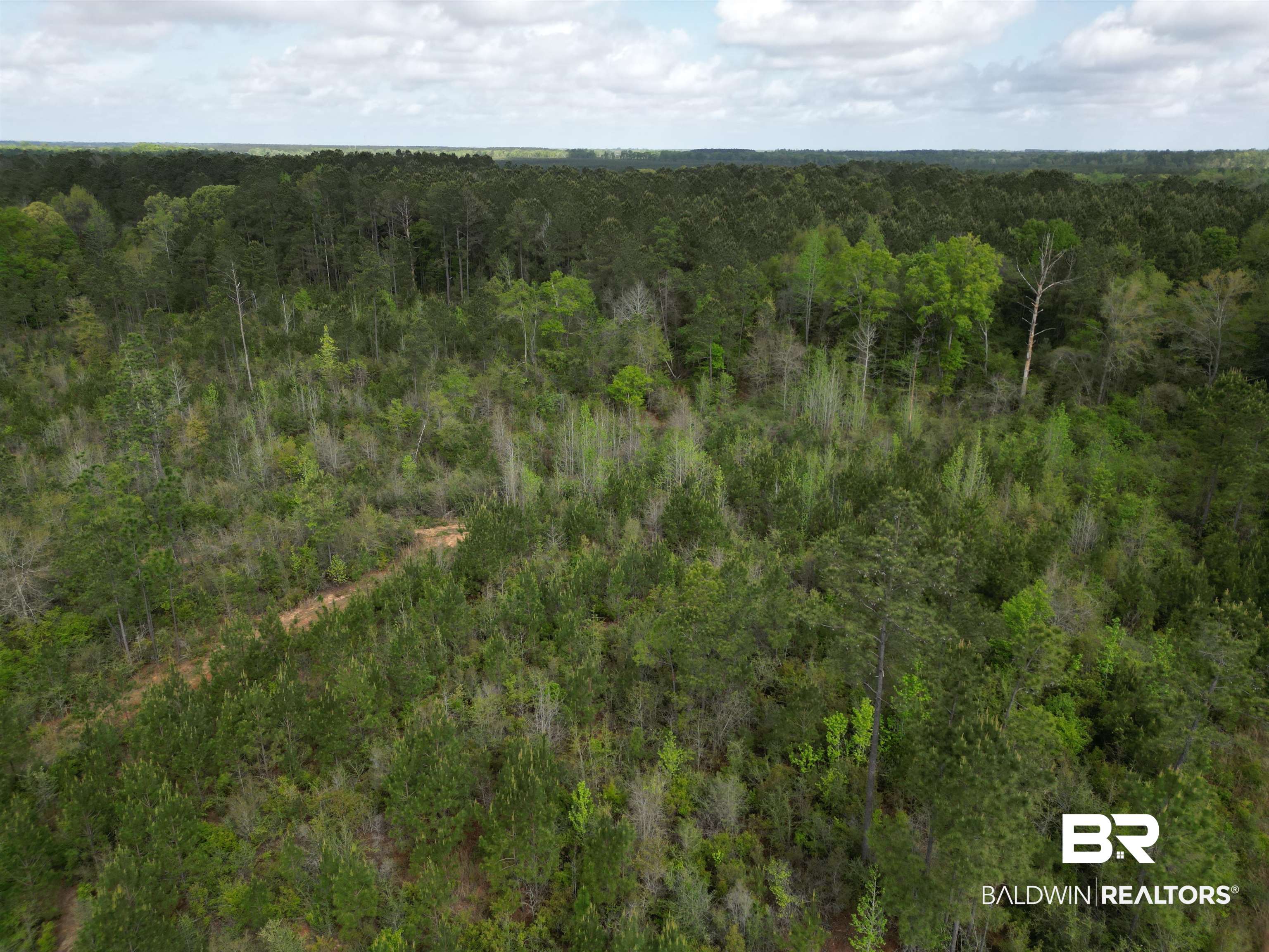 8200 Grimes Road Century, FL 32535 - Photo 5 of 19 Gallery Image 5
