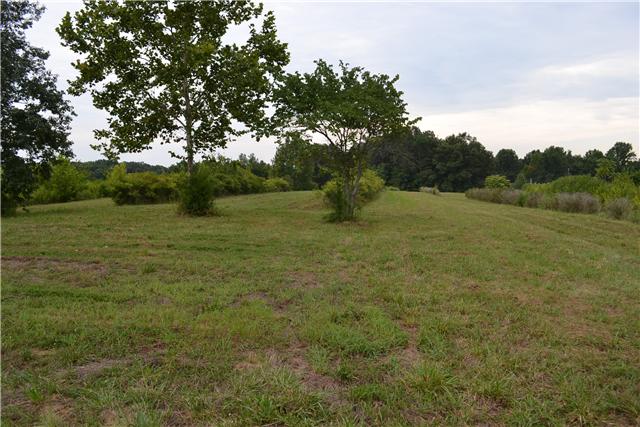 0 Bugger Ridge McMinnville, TN 37110 - Photo 1 of 3 Gallery Image 1