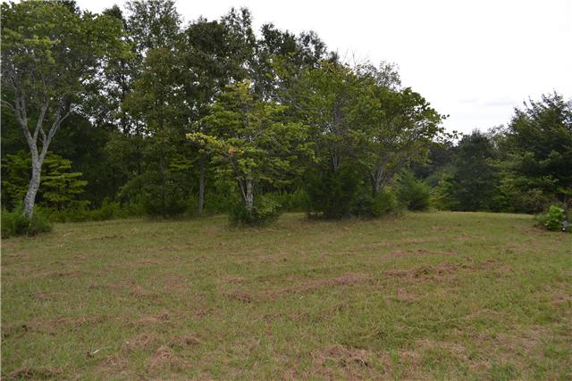 0 Bugger Ridge McMinnville, TN 37110 - Photo 2 of 3 Gallery Image 2