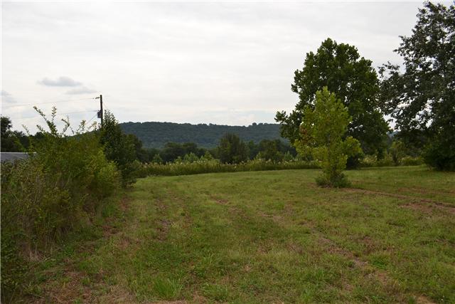 0 Bugger Ridge McMinnville, TN 37110 - Photo 3 of 3 Gallery Image 3