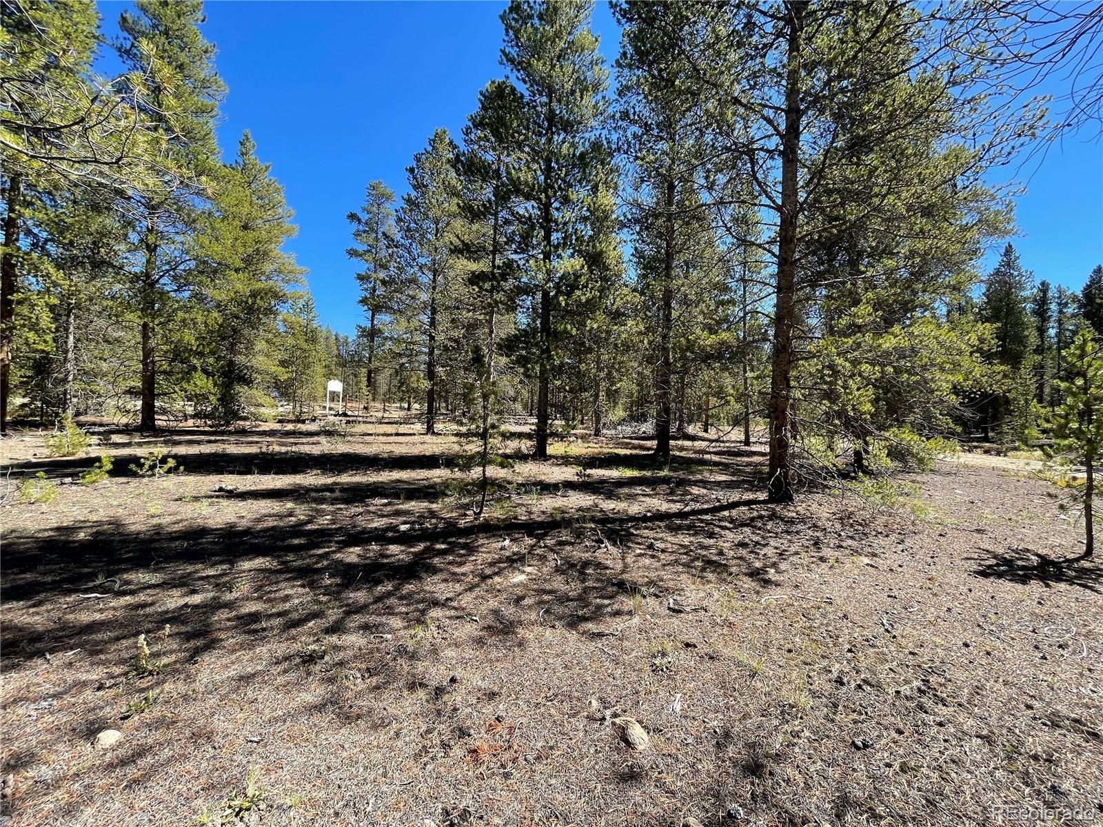 100 Virginia Avenue Leadville, CO 80461 - Photo 6 of 10