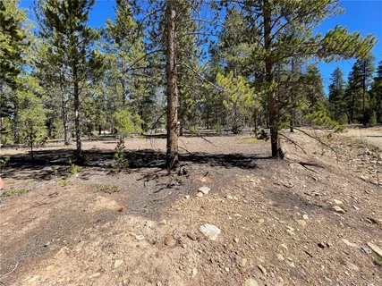 $335,000 | 100 Virginia Avenue, Leadville, CO 80461