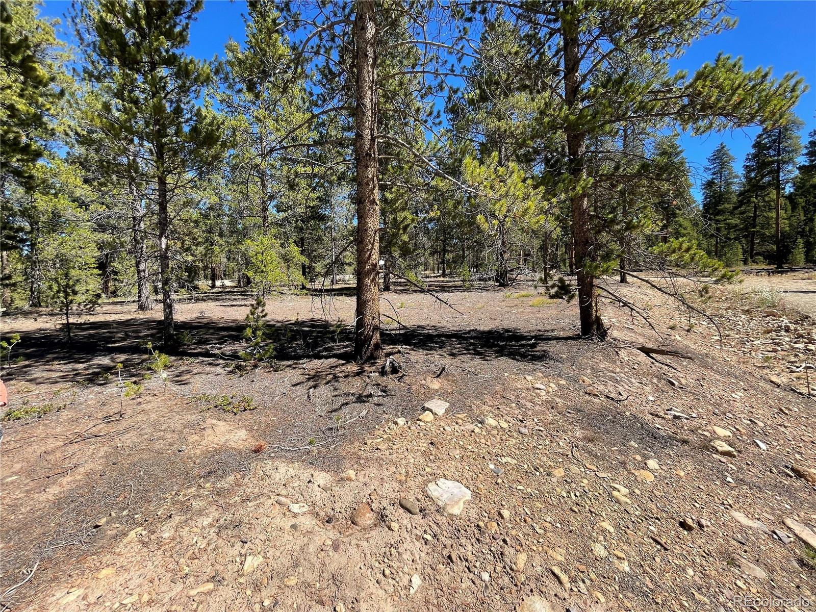 100 Virginia Avenue Leadville, CO 80461 - Photo 7 of 10