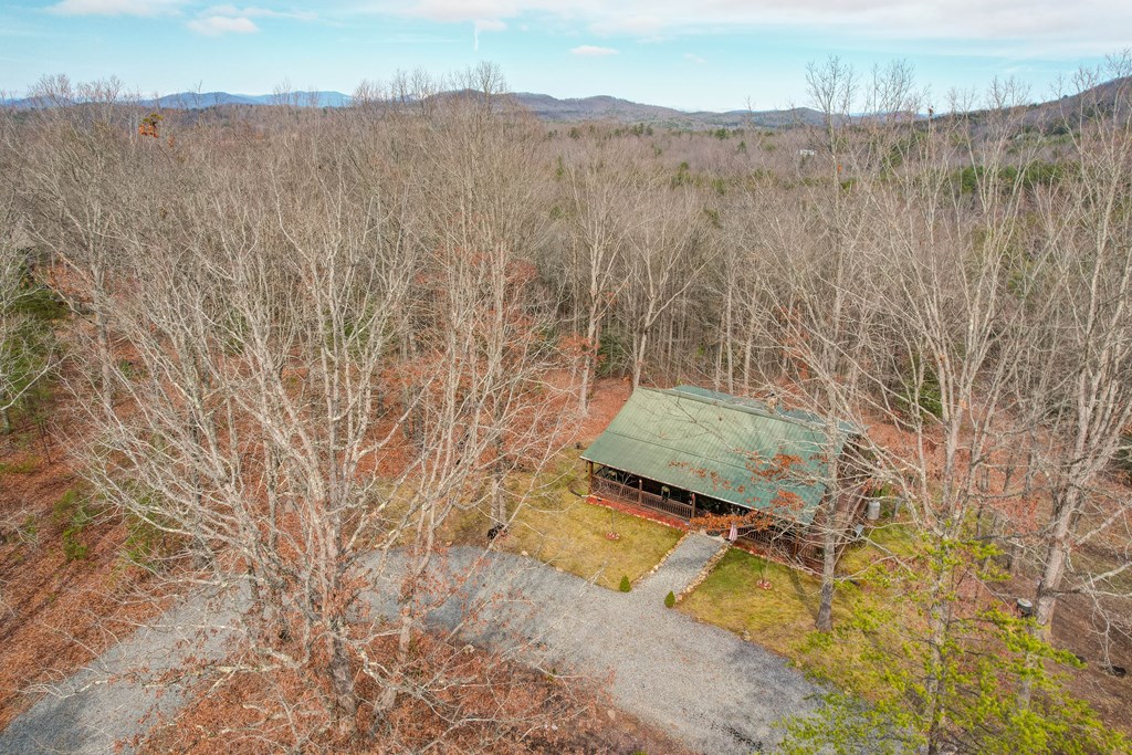 256 Boot Legger Road Morganton, GA 30560 - Photo 33 of 41