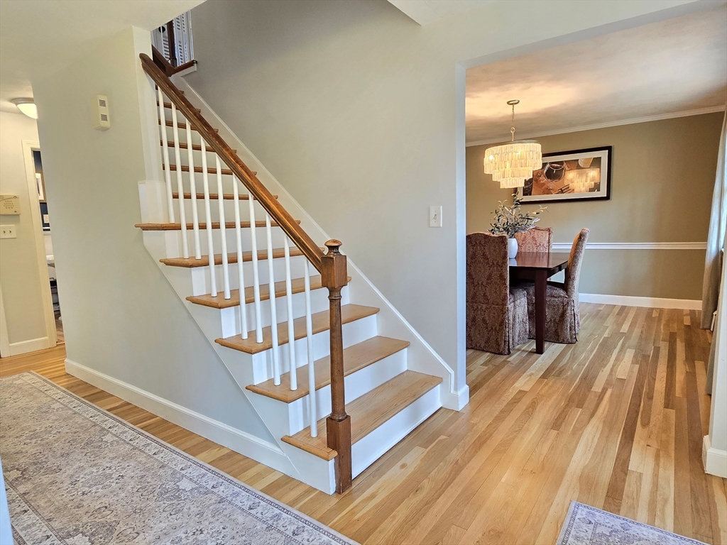 53 Jodie Road Framingham, MA 01702 - Photo 27 of 41 Gallery Image 27
