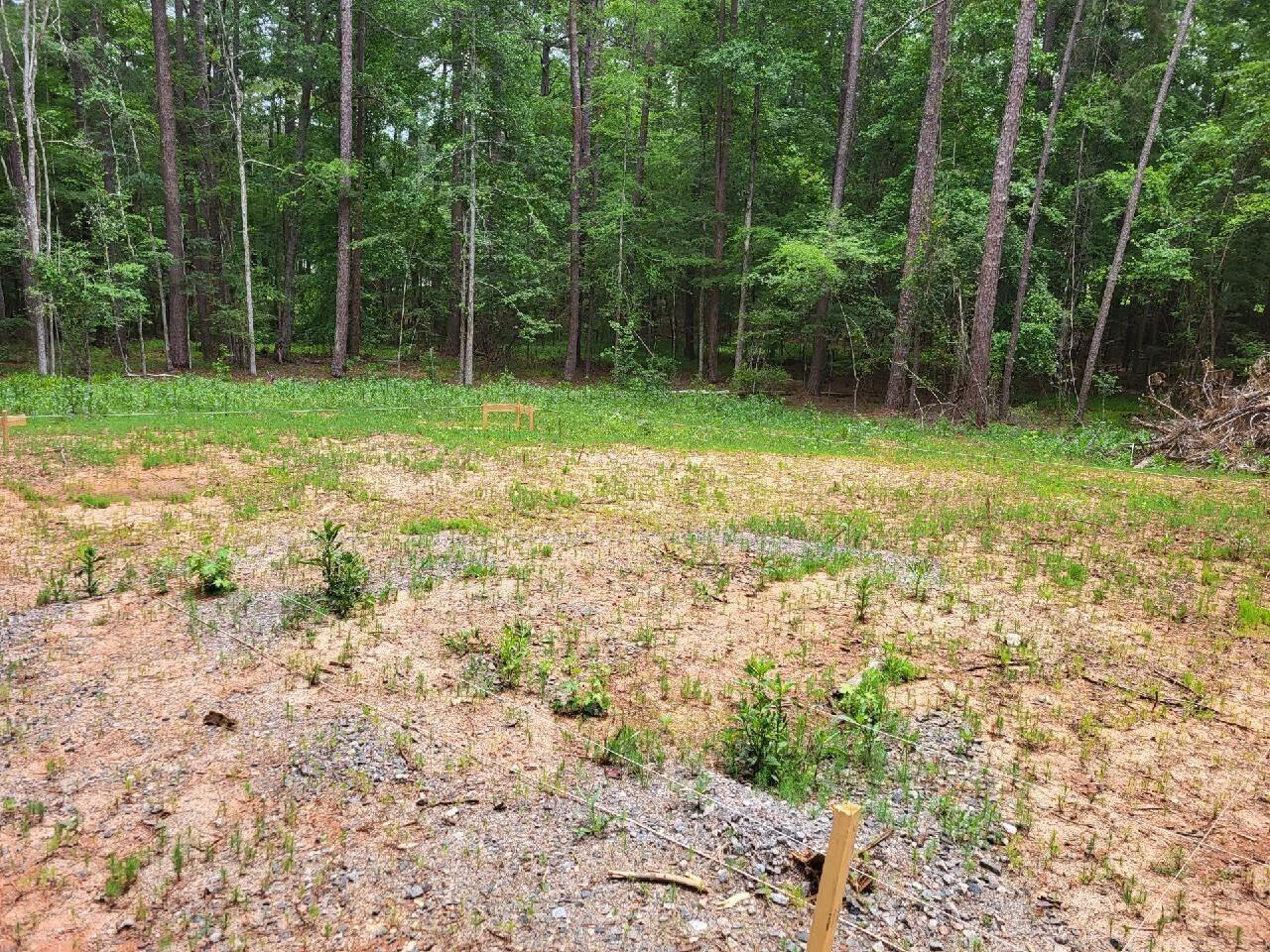 0 Bordeaux Road McCormick, SC 29835 - Photo 1 of 13