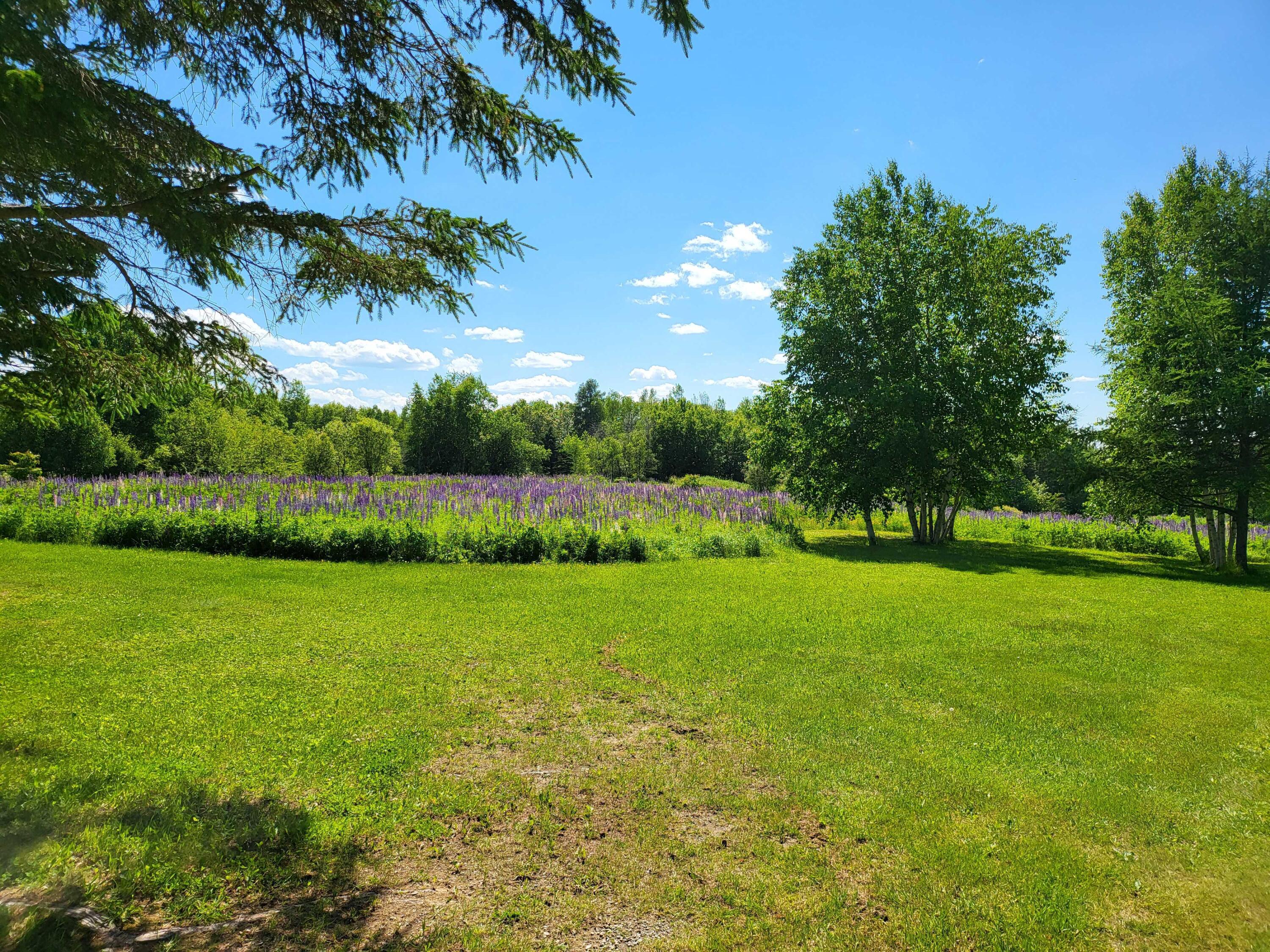 3 Osgood Farm Road Easton, ME 04740 - Photo 7 of 23 20220625_144314.MEDIUM