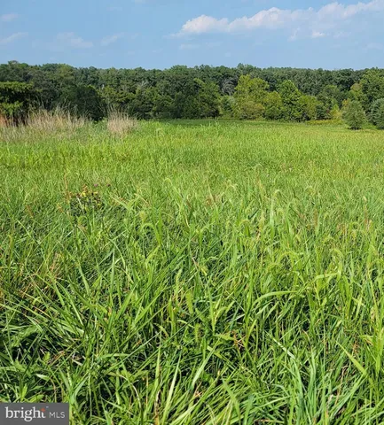 a view of lake with mountain
