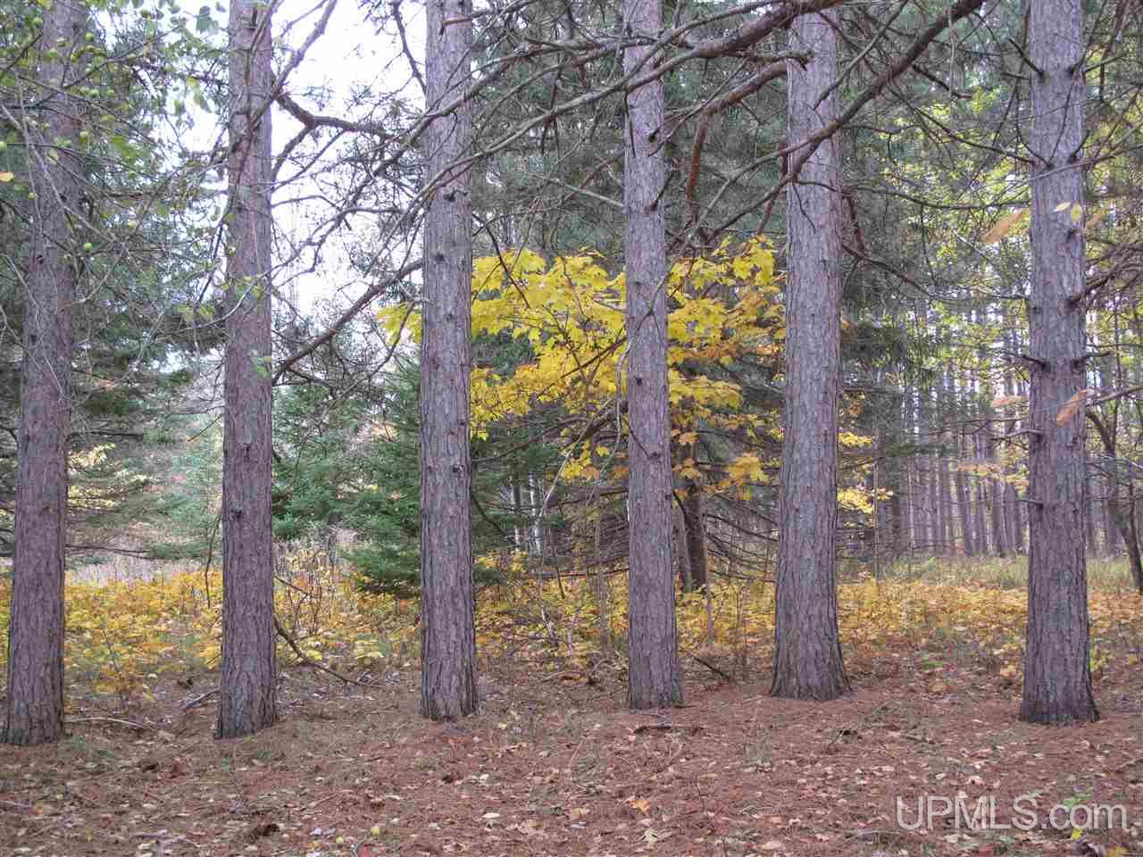 21851 Ridge Road Grand Marais, MI 49839 - Photo 21 of 29