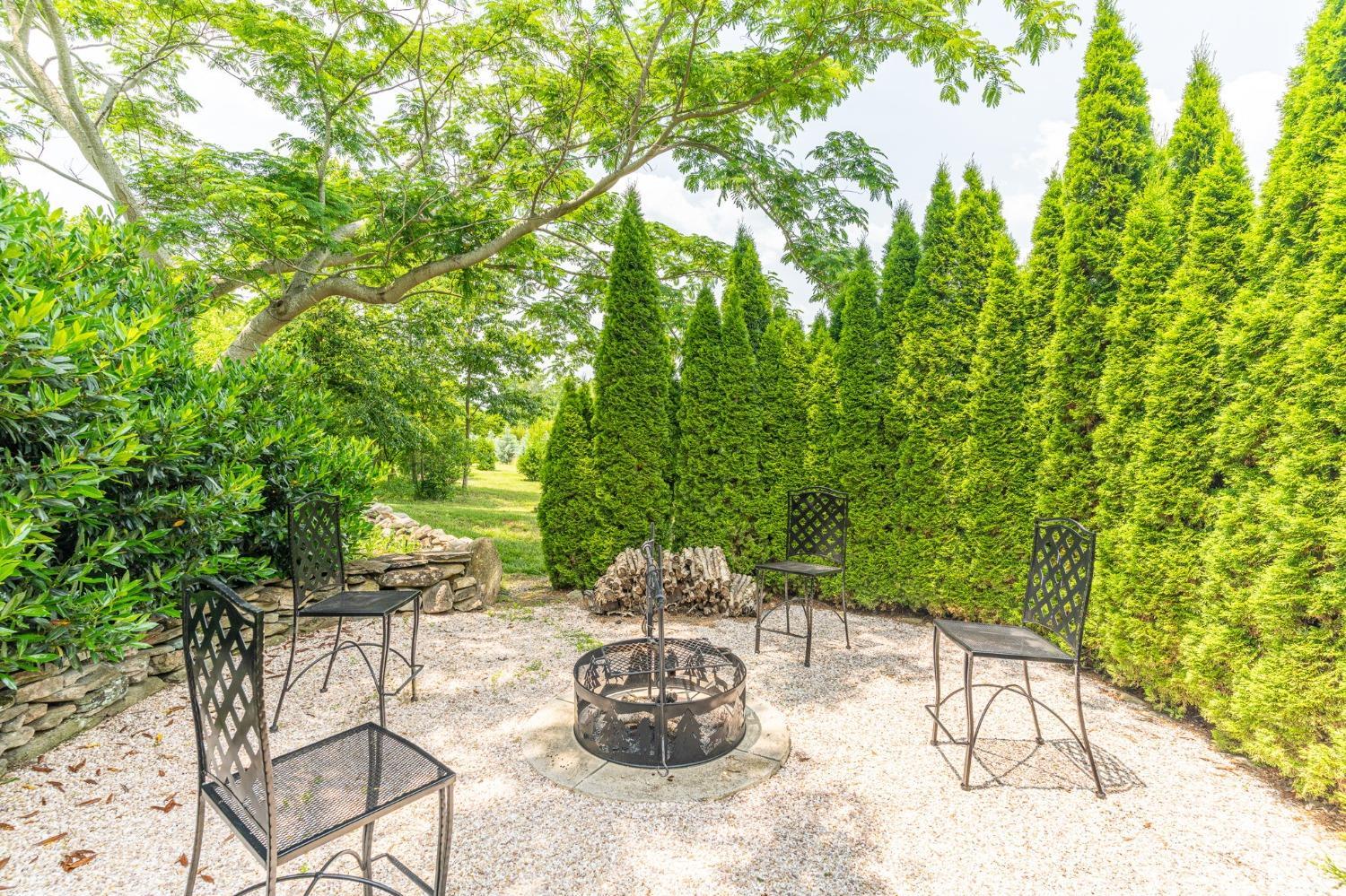 3297 Midway Road Phenix, VA 23959 - Photo 21 of 89 a view of a chairs and table in backyard