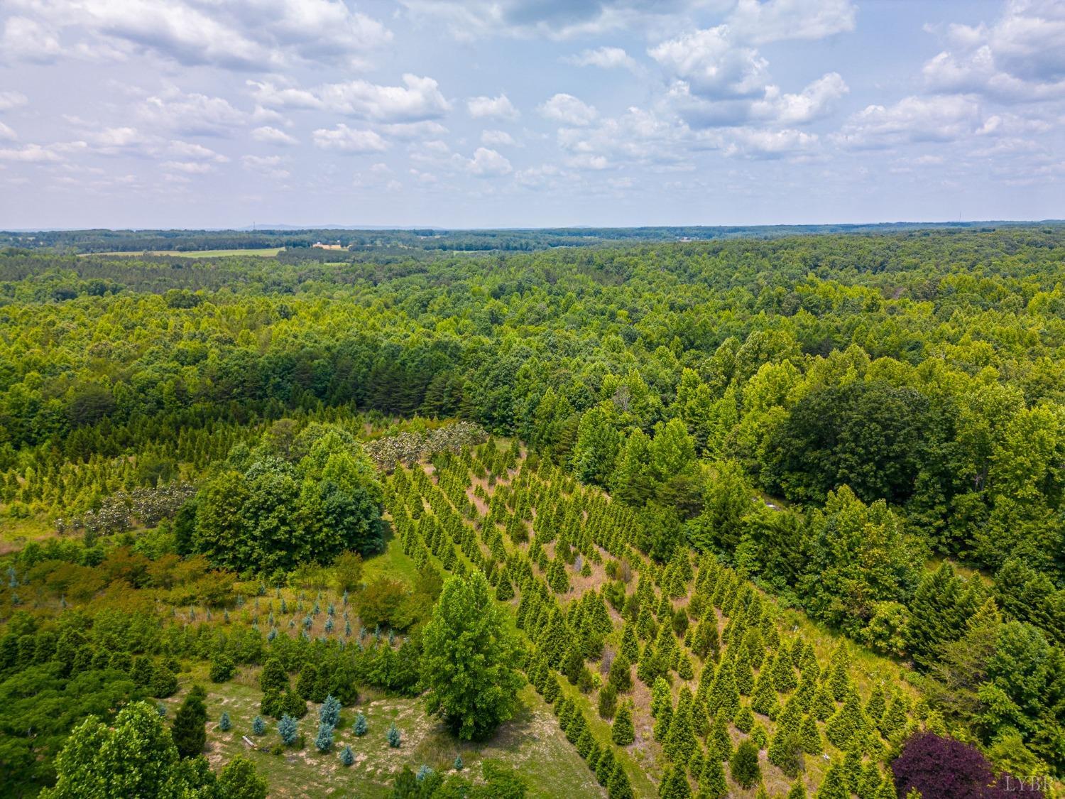 3297 Midway Road Phenix, VA 23959 - Photo 70 of 89