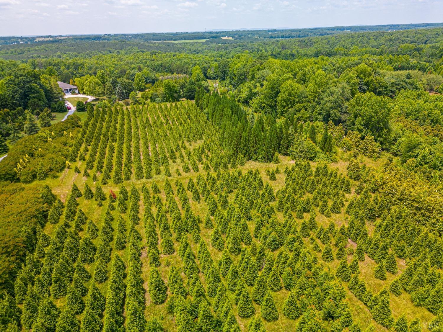 3297 Midway Road Phenix, VA 23959 - Photo 73 of 89 a view of city with lush green forest