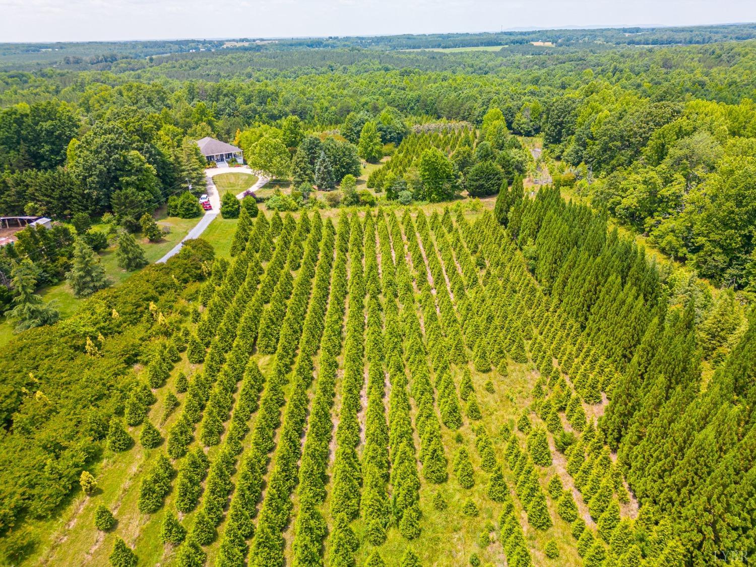 3297 Midway Road Phenix, VA 23959 - Photo 74 of 89 a view of a bunch of trees and bushes