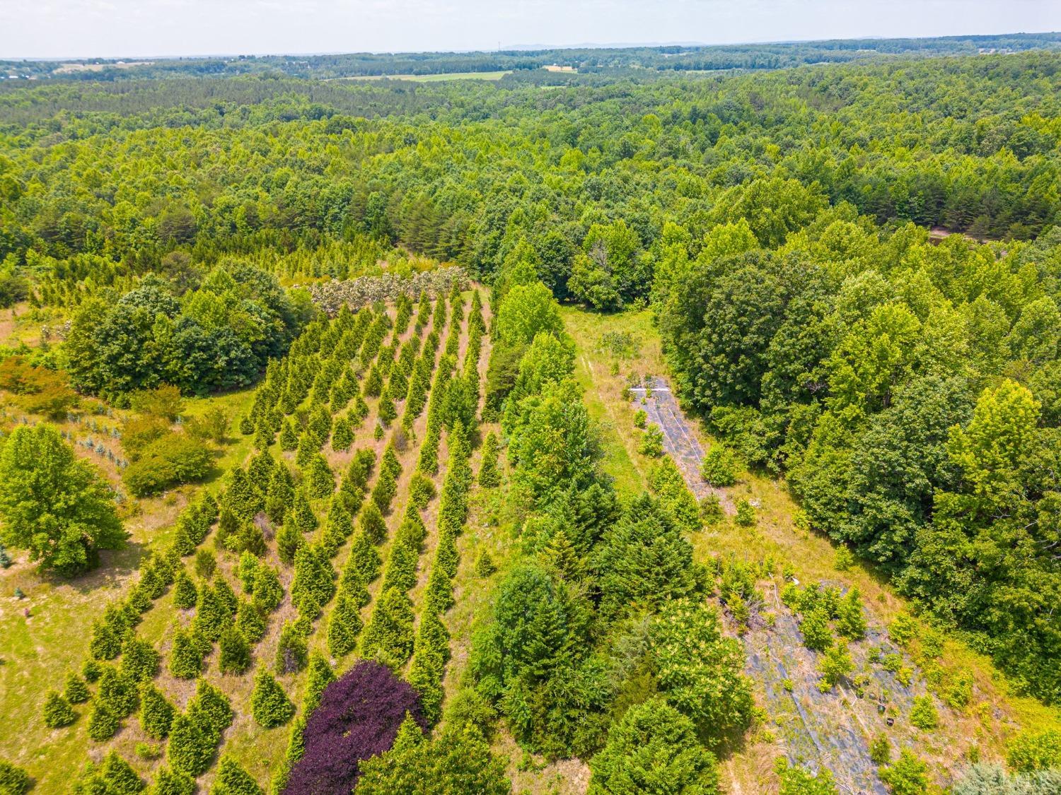 3297 Midway Road Phenix, VA 23959 - Photo 75 of 89 a view of lake view