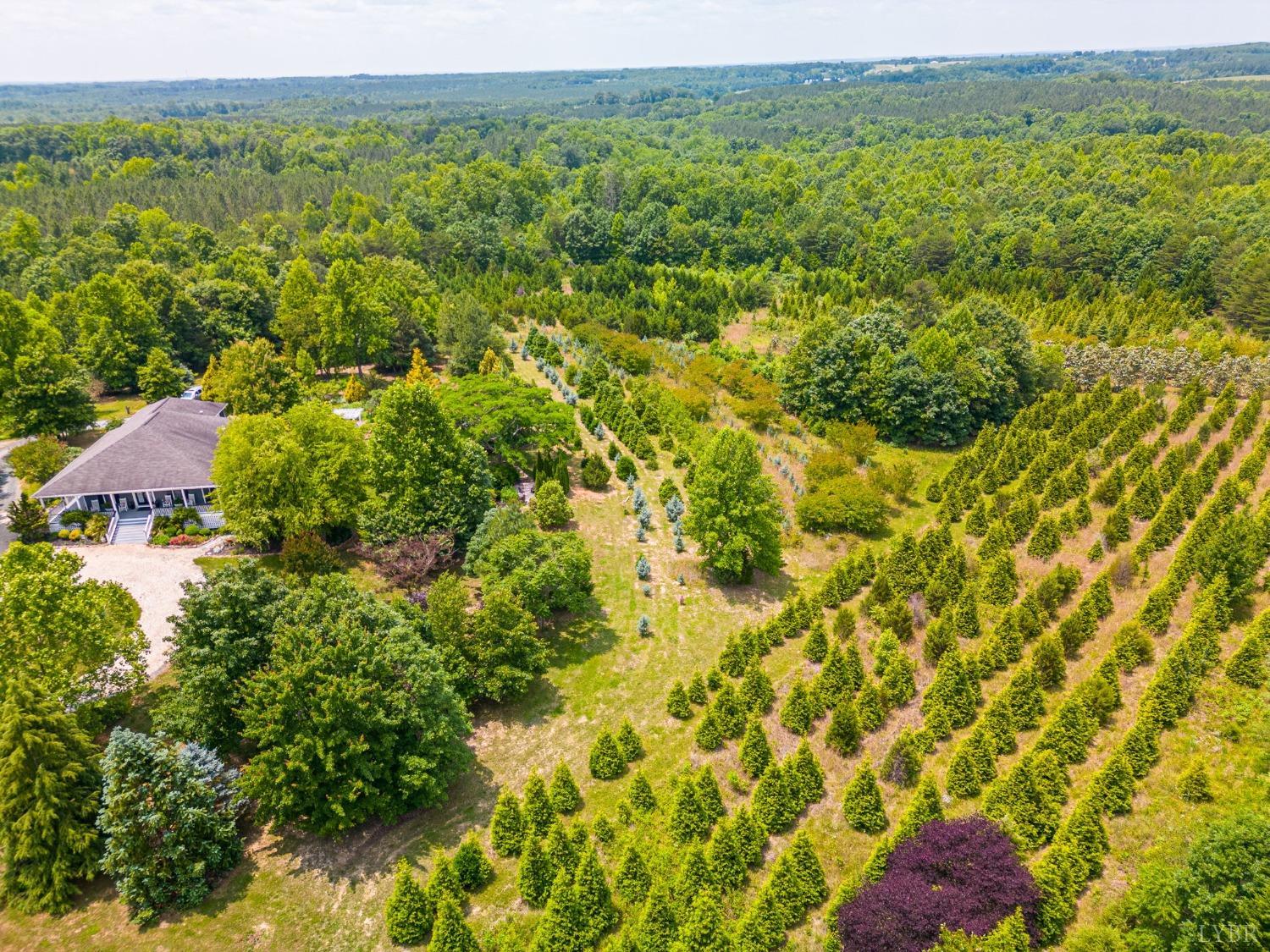 3297 Midway Road Phenix, VA 23959 - Photo 76 of 89