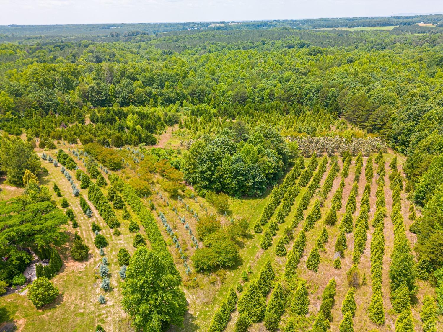 3297 Midway Road Phenix, VA 23959 - Photo 77 of 89 a view of a field with an outdoor space