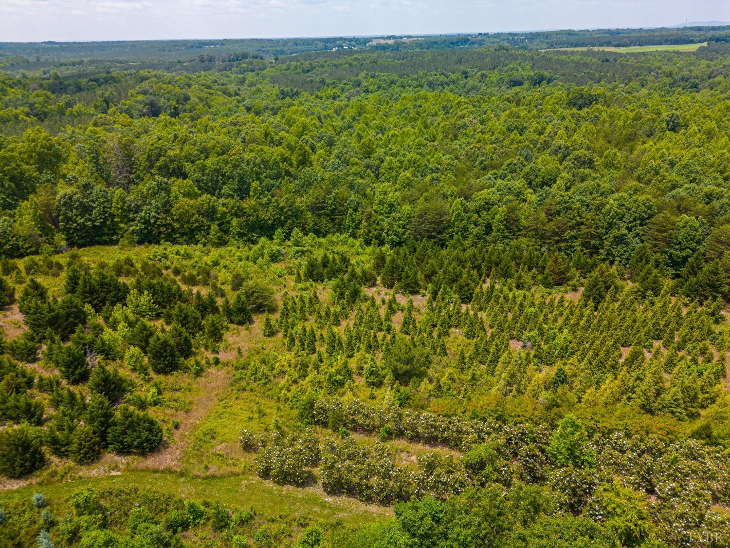 3297 Midway Road Phenix, VA 23959 - Photo 78 of 89